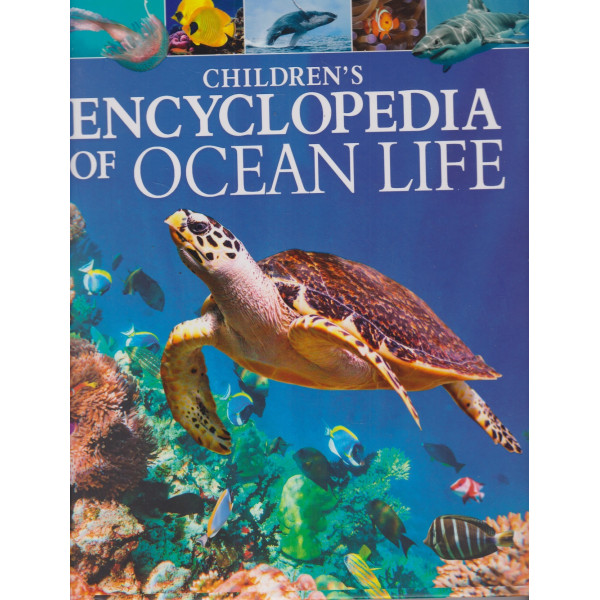 Childrens Encyclopedia Of Ocean Life