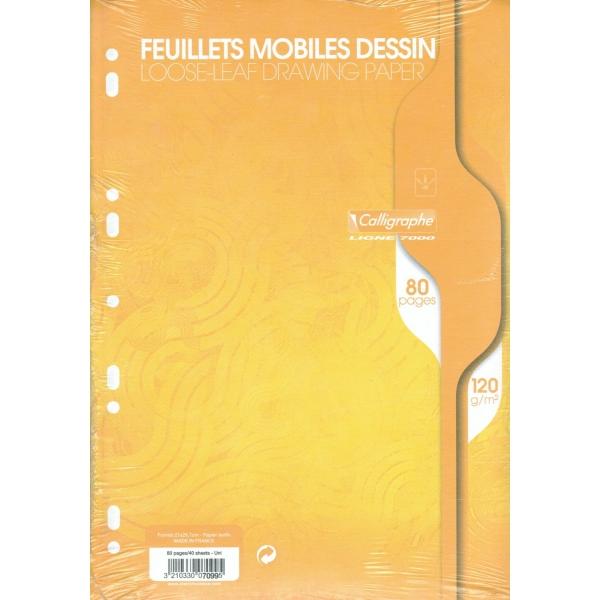 Feuilles de dessin Calligraphe A4 120G 80P