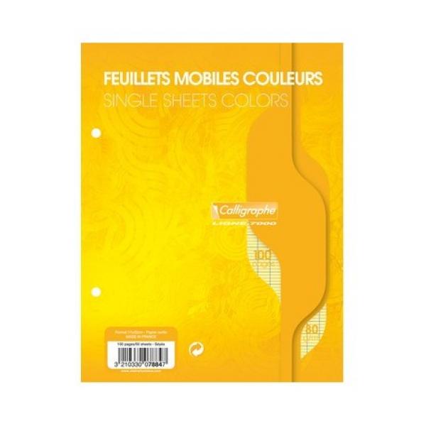 Feuilles Mobiles Couleurs 100p 17*22