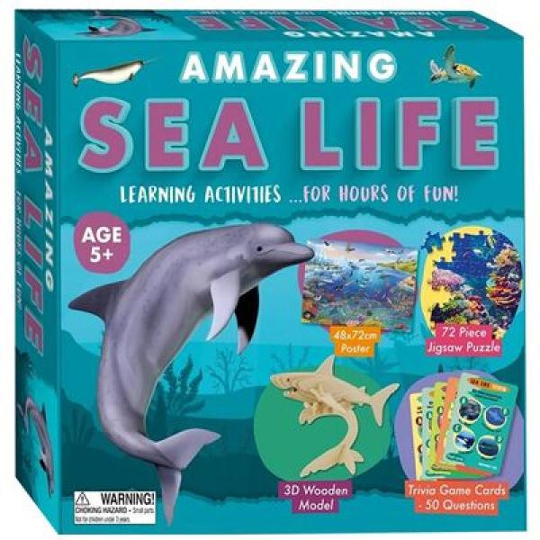 Amazing -Sea Life