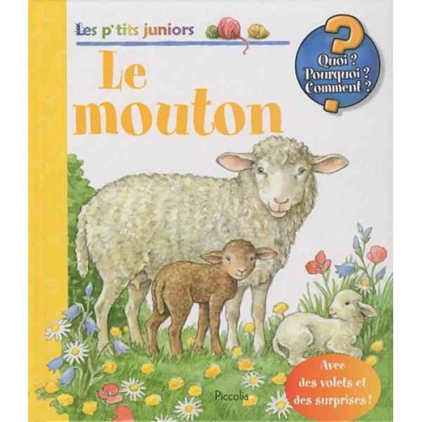 Le mouton -Les p'tits juniors