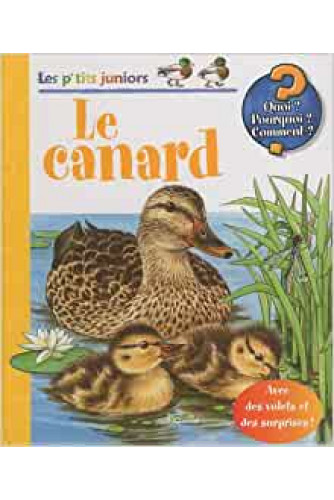 Le canard -Les p'tits juniors