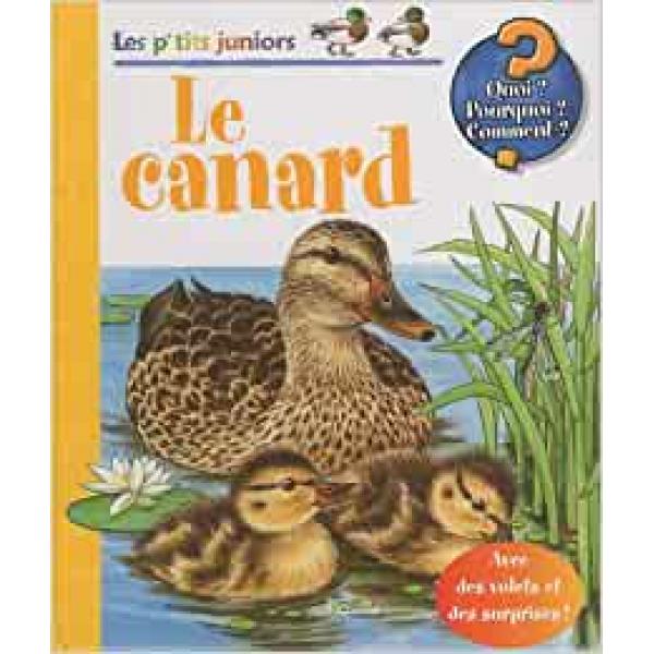 Le canard -Les p'tits juniors