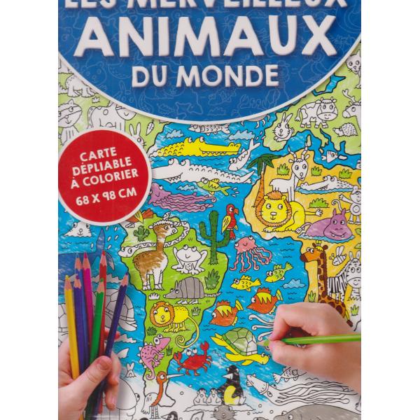 Carte dépliable à colorier 68x98 cm -Les merveilleux animaux du monde