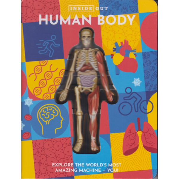 Inside Out Human Body 