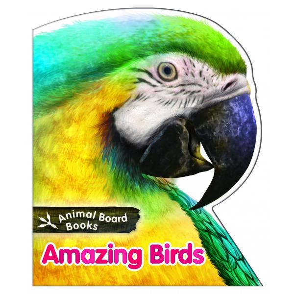 Animal Board Books -Amazing Birds