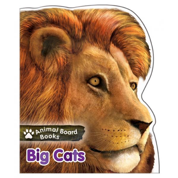Animal Board Books -Big Cats