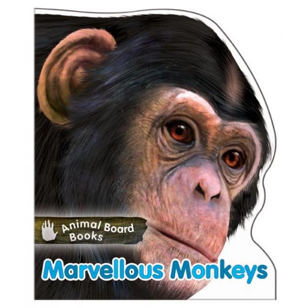 Animal Board Books -Marvellous Monkeys