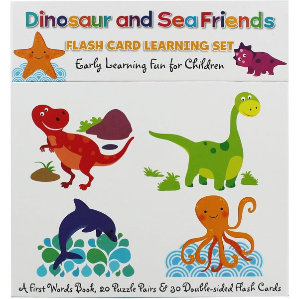 Coffret Flash Cards learning set -Dinosaur and sea friends