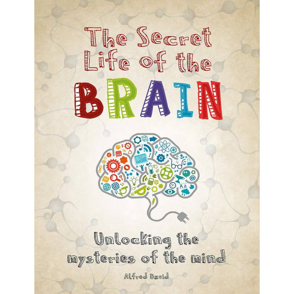 The secret life of the brain