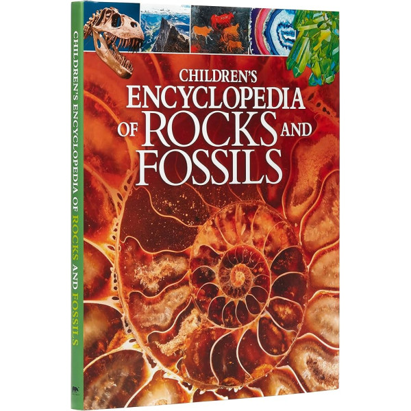 Childrens Encyclopedia Rocks and Fossils 