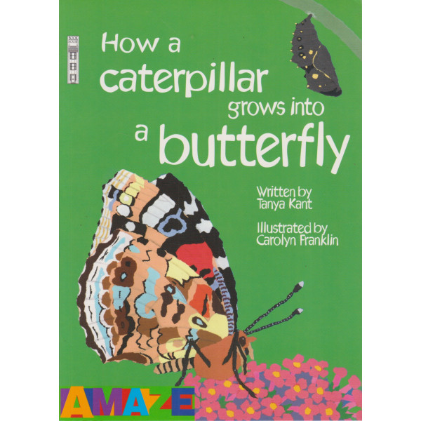 How a caterpillar grows into a butterfly