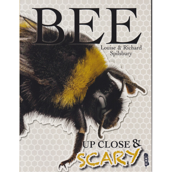 Bee -Up close & scary