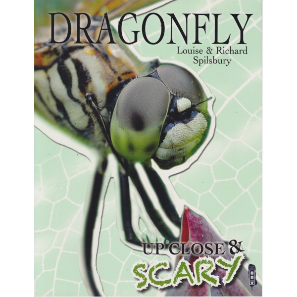 Dragonfly -Up close & scary