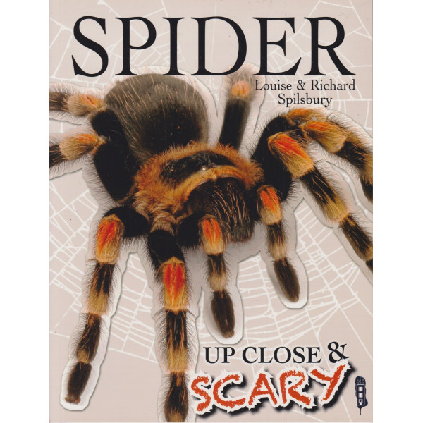 Spider -Up close & scary