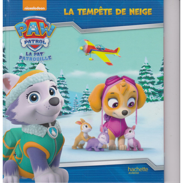 Tempête de neige -La Pat'Patrouille