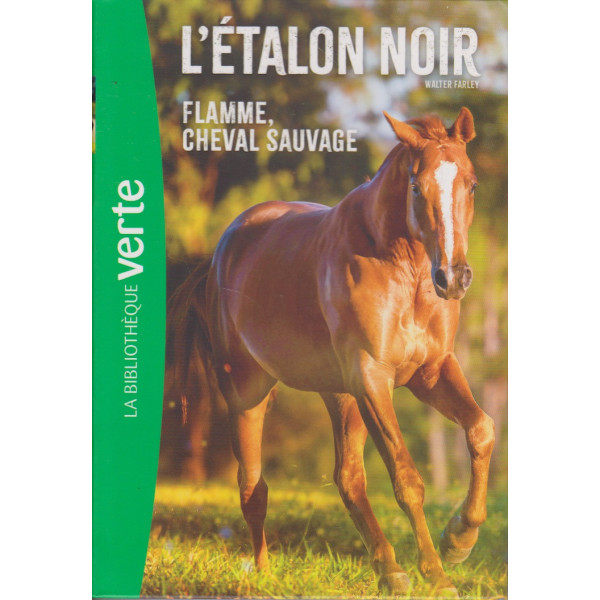 L'étalon noir flamme cheval sauvag T10 -Bib verte