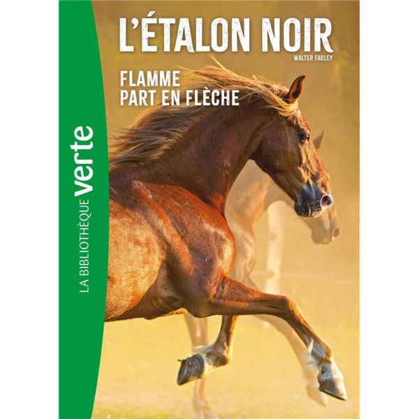 L'Etalon Noir -Flamme part en flèche T12 -Bib verte 