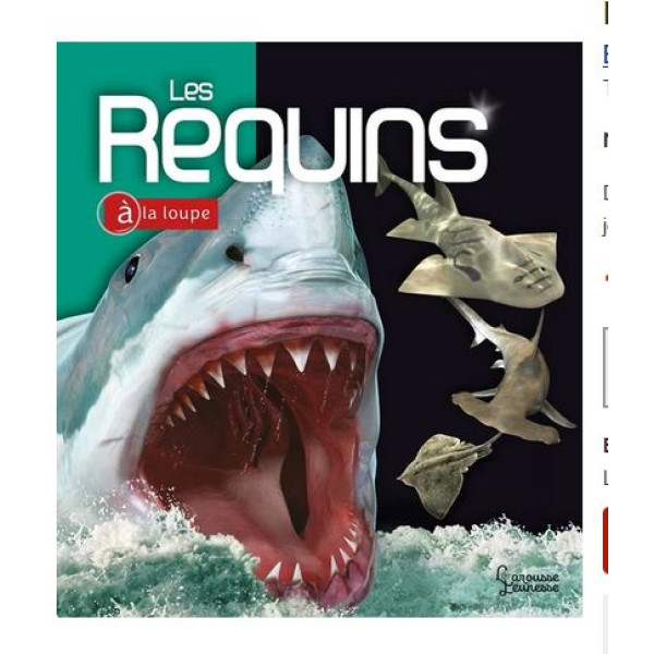 Les Requins