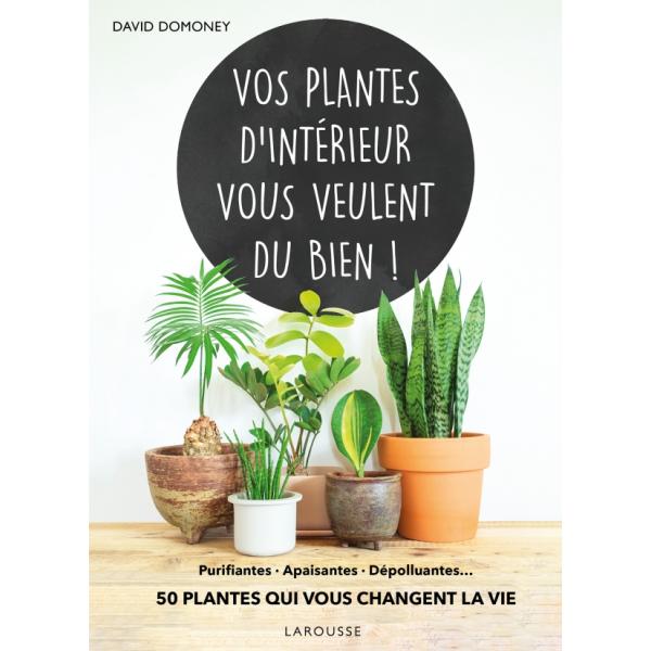 Vos plantes d'intérieur vous veulent du bien !