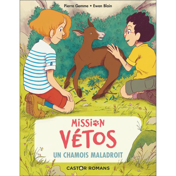 Mission vétos T9 -Un chamois maladroit