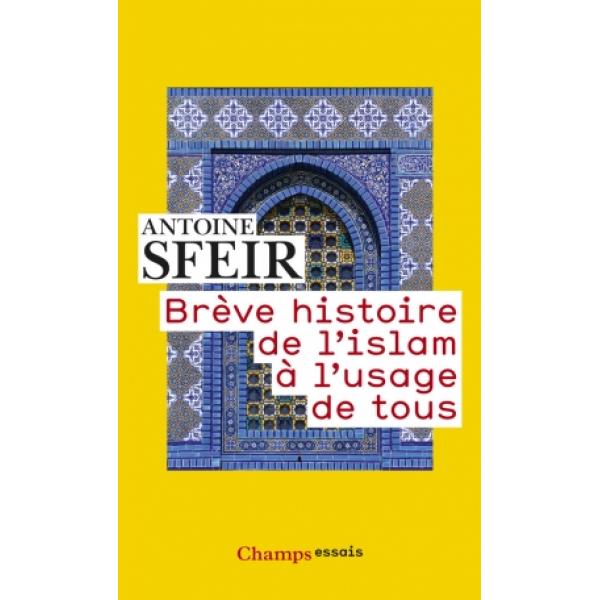 Brève histoire de l'islam à l'usage