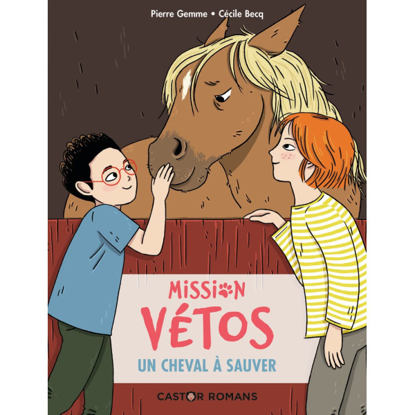 Mission vétos -Un cheval à sauver