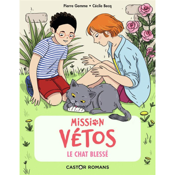 Mission vétos -Le Chat blessé