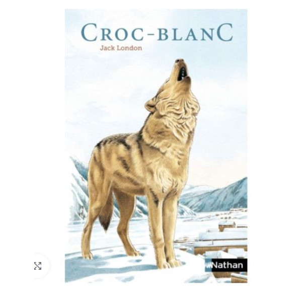 Croc-blanc