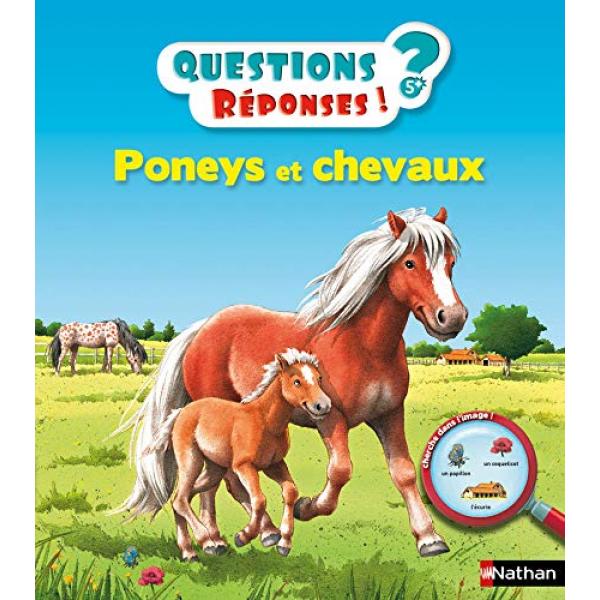 Questions réponses 5+ -Poneys et chevaux
