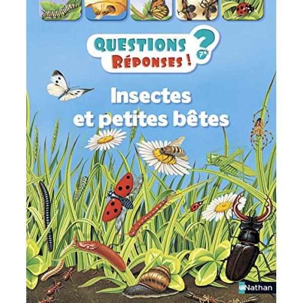 Questions réponses 7+ -Insectes et petites bêtes