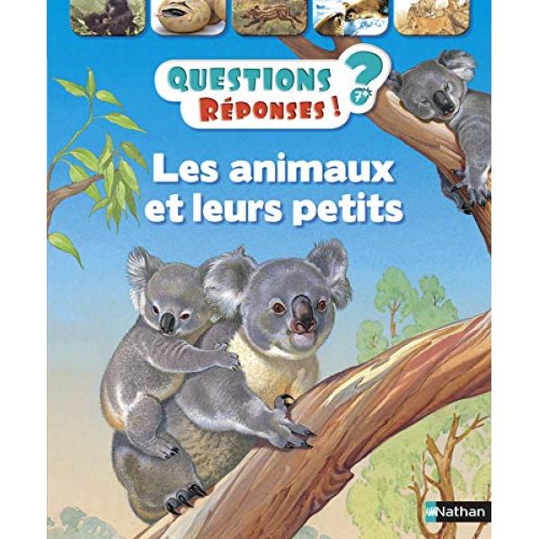 Questions réponses 7+  -Les animaux et leurs petits