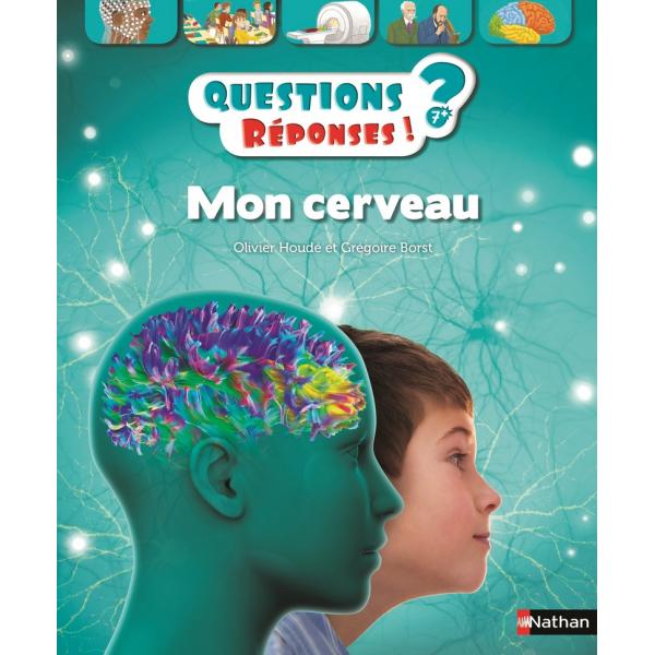 Questions réponses 7+  -Mon cerveau