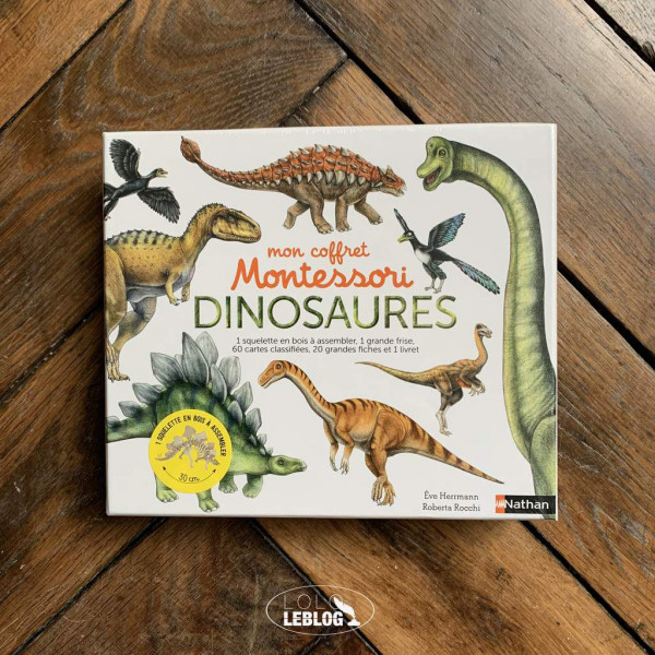 Mon coffret montessori -Dinosaures