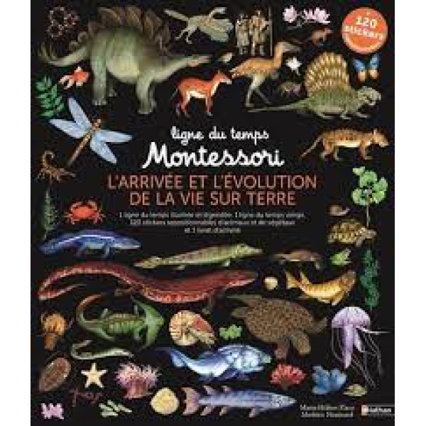 Ligne du temps Montessori - L'arrivée et l'évolution de la vie sur terre