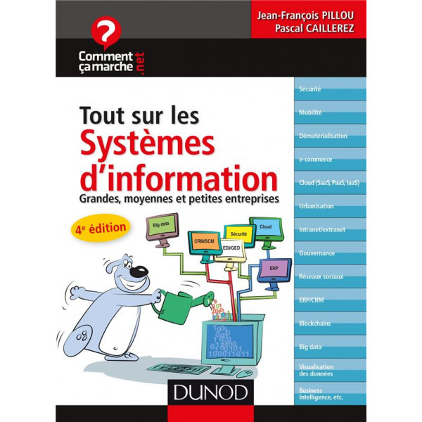 Tout sur les systèmes d'information 4ED
