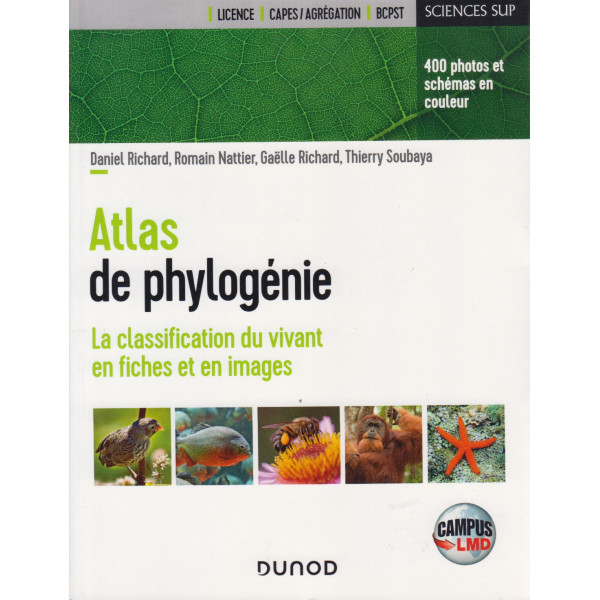 Atlas de phylogénie - La classification du vivant en fiches et en images (Campus)