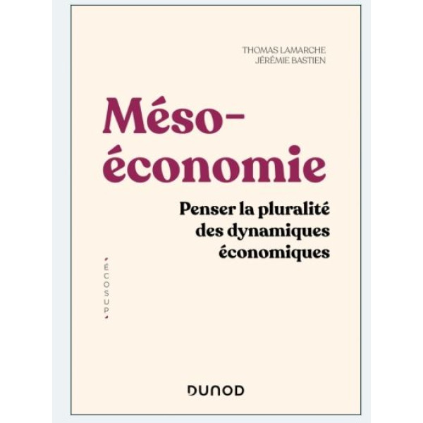 Mésoéconomie