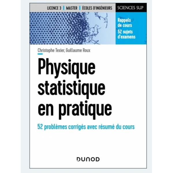 Physique statistique en pratique