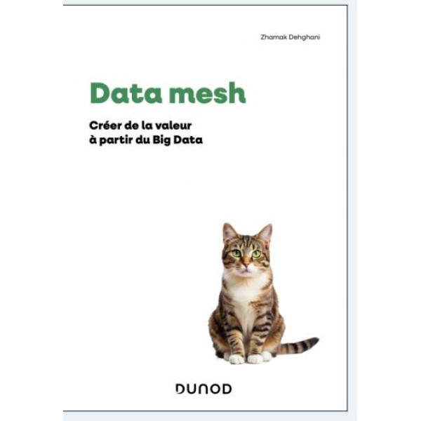 Data mesh 