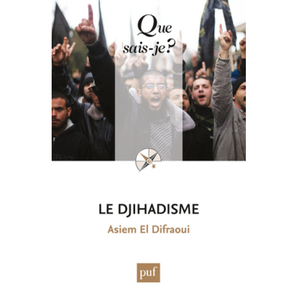 Le djihadisme -Que sais-je?