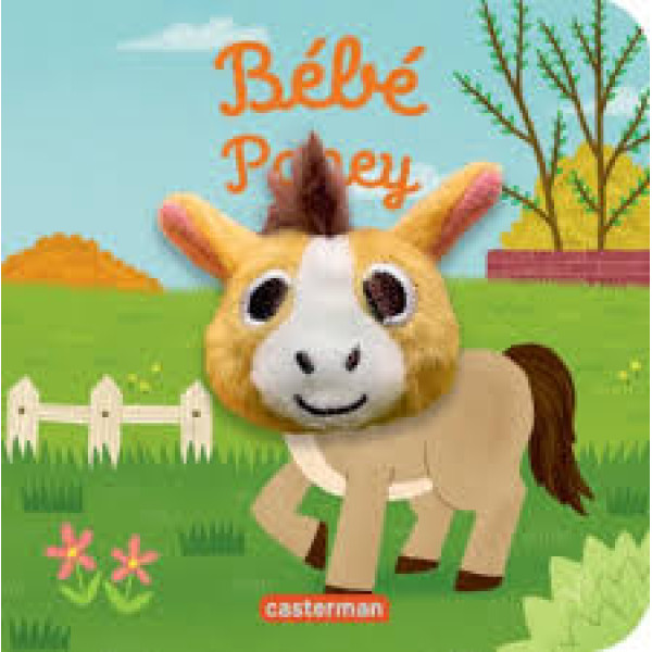 Bébé poney