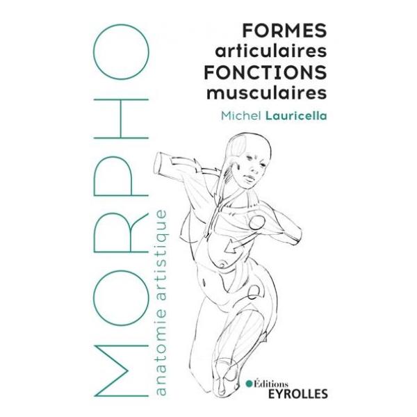 Formes articulaires Fonctions musculaires