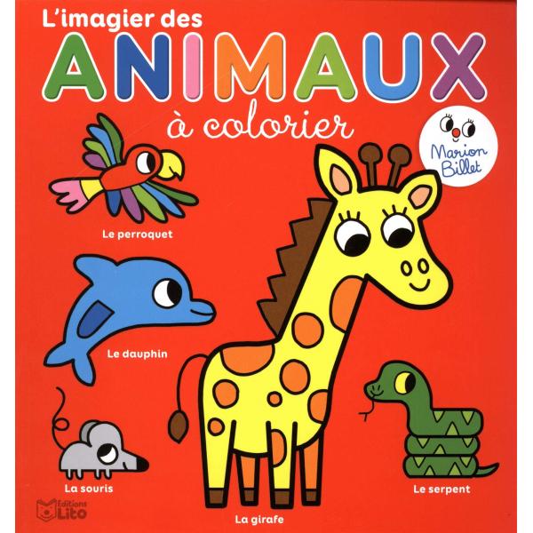 L'imagier des animaux à colorier 