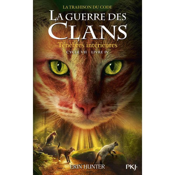 GUERRE DES CLANS - CYCLE VII - TOME 4 TENEBRES INTERIEURES