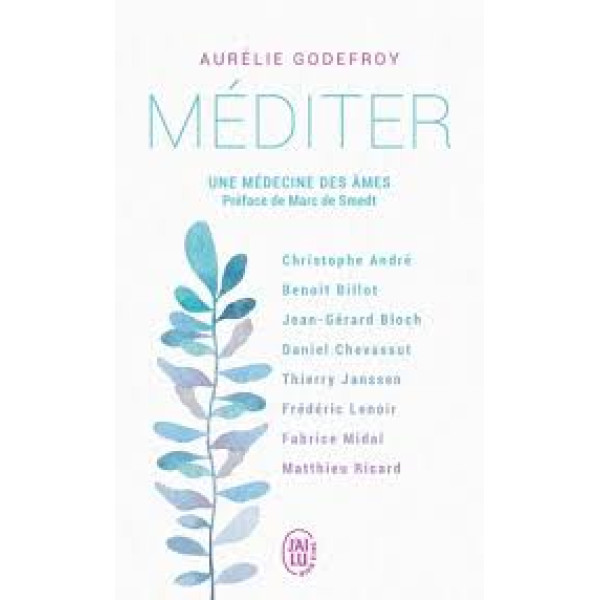 Méditer Une médecine des âmes