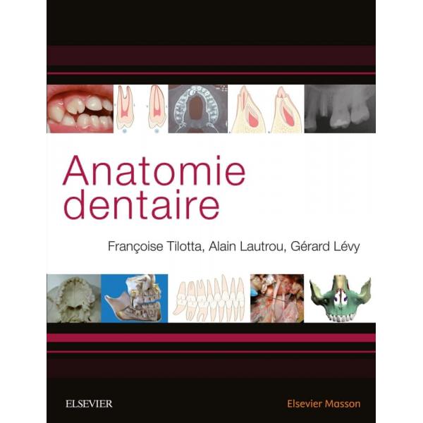 Anatomie dentaire -Campus