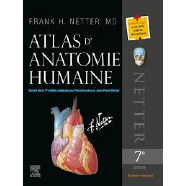 Atlas d'anatomie humaine 7éd -Campus