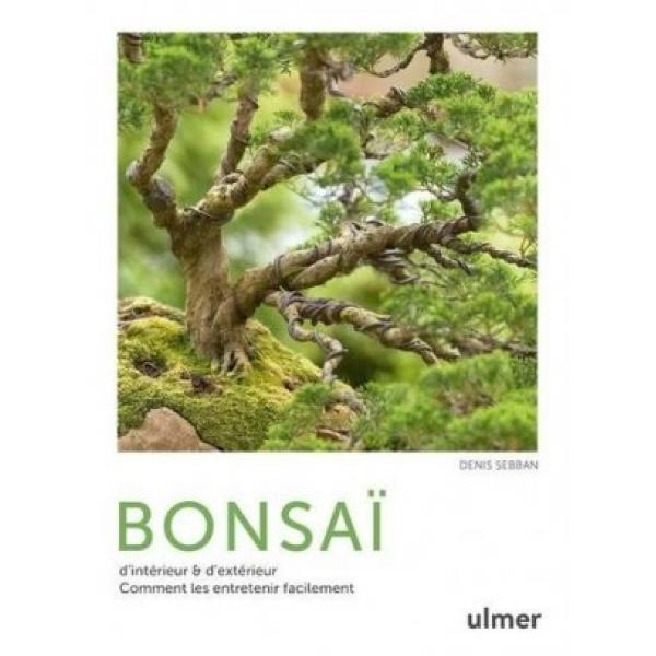 Bonsaï