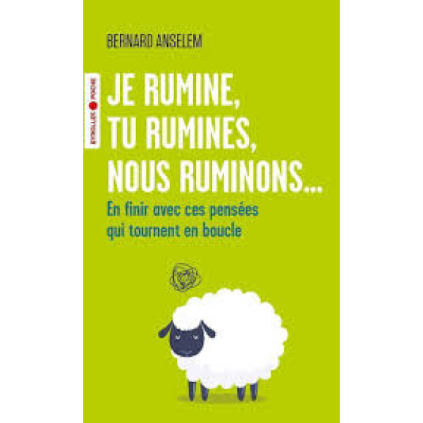 Je rumine, tu rumines, nous ruminons....
